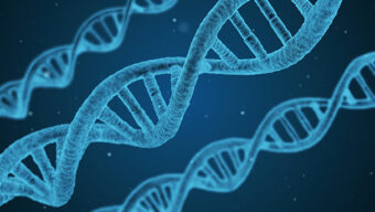 You’ve Got Genetic Mail: What You Should Know About Mail-Order Genetic Testing