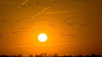 Go Here, Not There: 7 Unique Ideas for Your Next Vacation