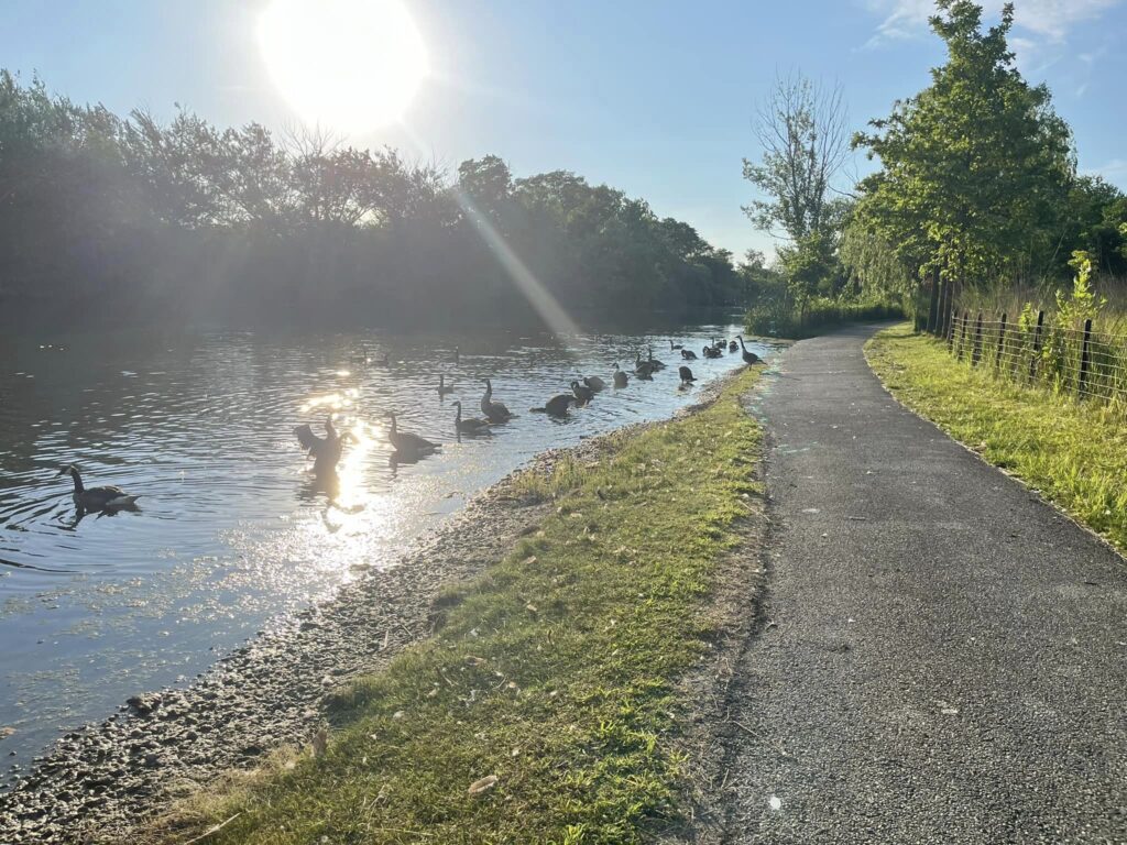 Marquette Park Loop Hiking trail