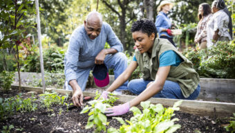 Growing the Good: How Local Gardens Can Transform Communities