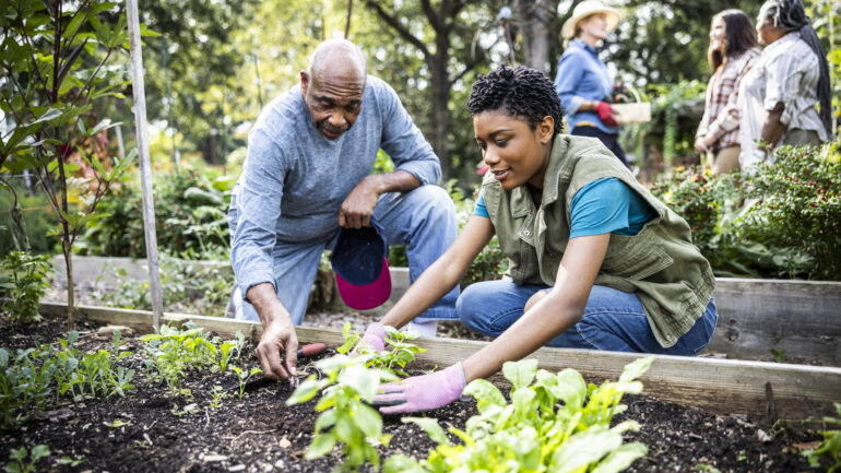 Father and adult daughter workiang in community garden