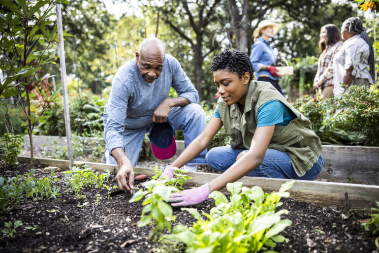 Father and adult daughter workiang in community garden