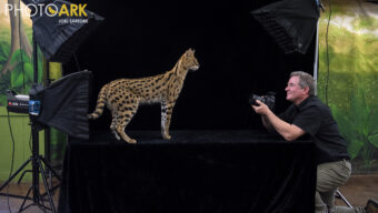 National Geographic Photo Ark: Joel Sartore’s Urgent Mission to Document and Protect Earth’s Vanishing Species