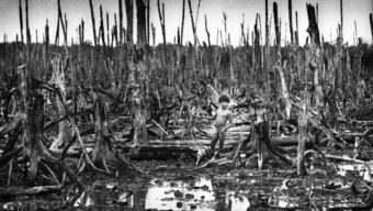 Witness to Chemical War: Goro Nakamura Reflects on 50 Years of Photographing Agent Orange’s Toll