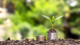 A tree that thrives on piles of money and soil a successful financial and investment concept