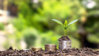A tree that thrives on piles of money and soil a successful financial and investment concept