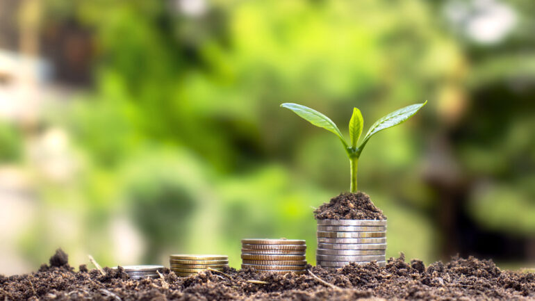 A tree that thrives on piles of money and soil a successful financial and investment concept