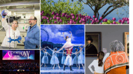 national women's boards featured image