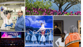 national women's boards featured image