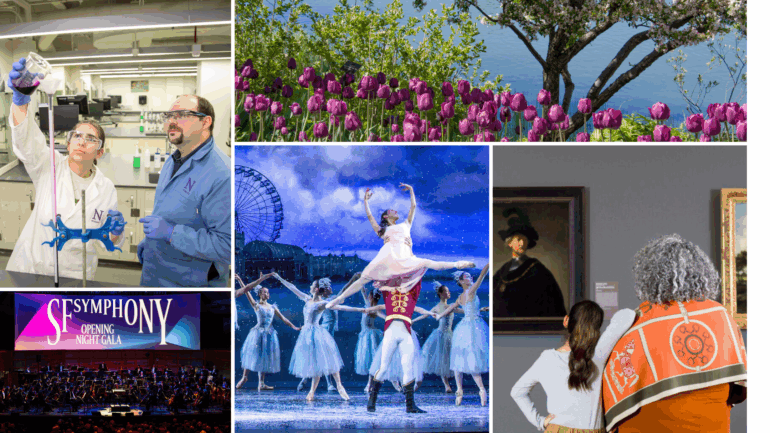 national women's boards featured image