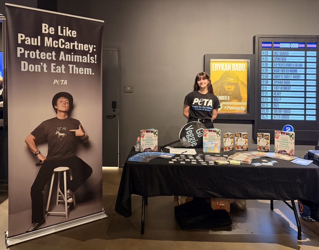 ENT: PAUL McCARTNEY Concert - PETA DISPLAY