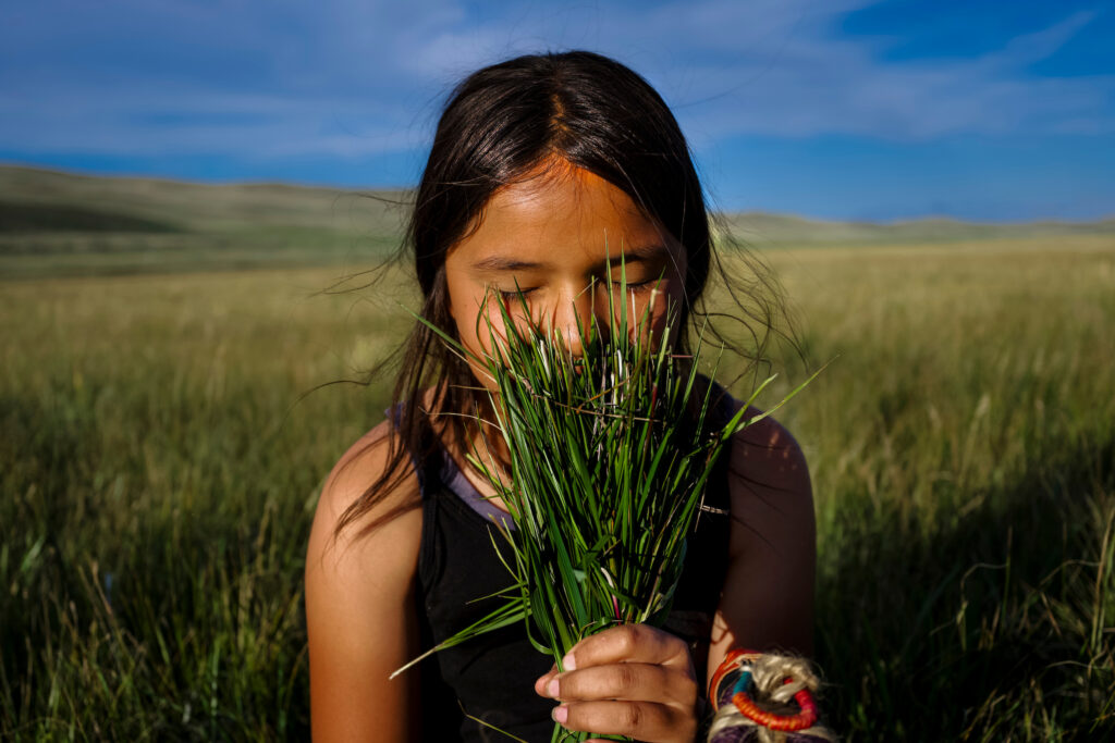 A young Blackfeet girl smells freshly harvested sweetgrass, connecting with a plant now under threat from drought and overgrazing.