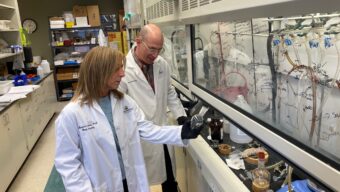 When Alzheimer’s Risk Is Written in Our Genes, And How It Might Be Rewritten as Resilience