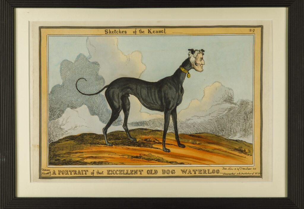 A PORTRAIT of that EXCELLENT OLD DOG WATERLOO