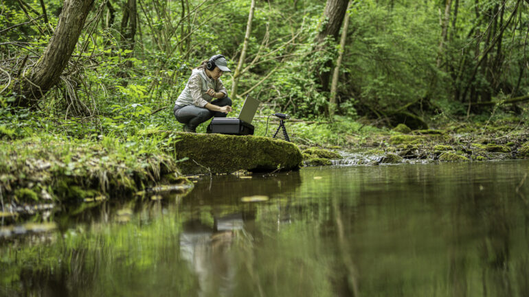 Sustainability practices-noninvasive recording of environmental sounds. AI-driven field-based studies using ecoacoustic approaches to effectively survey biodiversity in terrestrial and marine ecosystems and restorative environments.