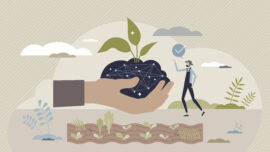 Illustration by Getty Images
