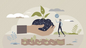 Protecting the Food We Grow: Innovation Against Crop Disease