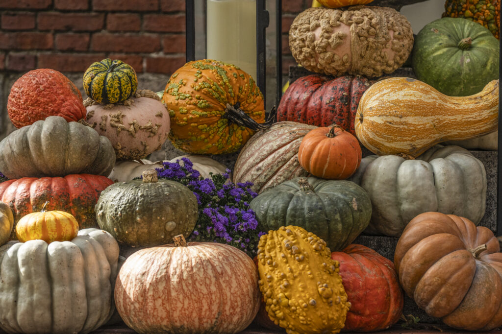 Pumpkins piled up outside an inn in Salem, Massachusetts on October 3, 2026.